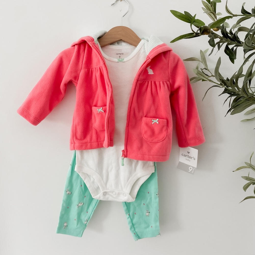 Carter’s 9 M Baby girl outfit